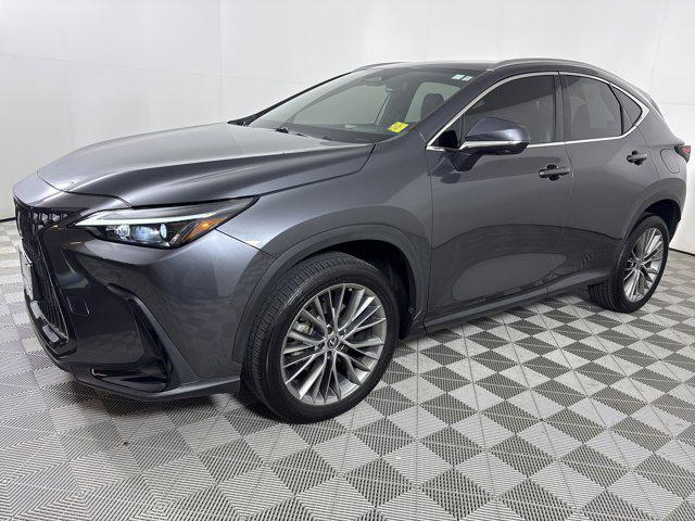 used 2023 Lexus NX 350 car, priced at $50,000