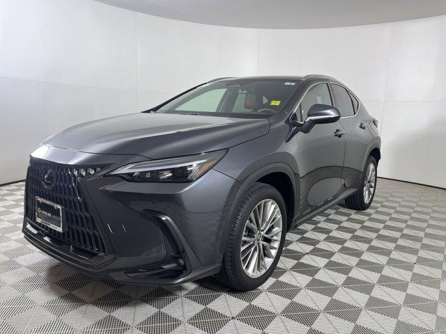 used 2025 Lexus NX 350 car, priced at $51,500