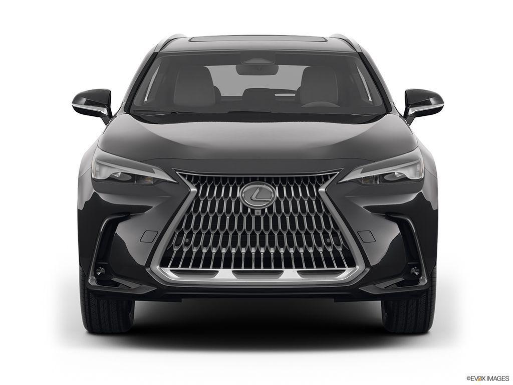 new 2025 Lexus NX 350 car