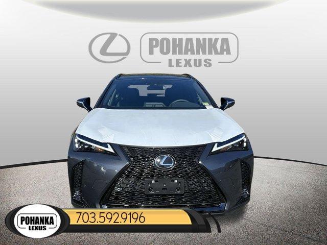 new 2024 Lexus UX 250h car