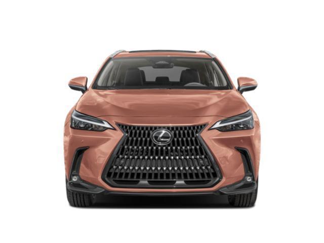new 2025 Lexus NX 350 car, priced at $48,175