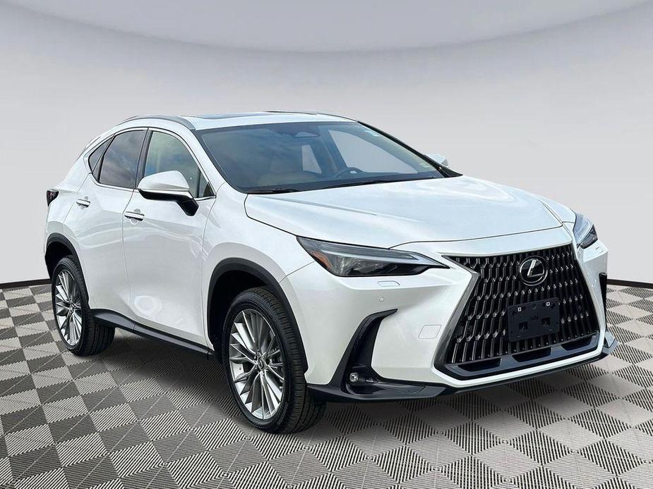 used 2023 Lexus NX 350 car, priced at $53,900