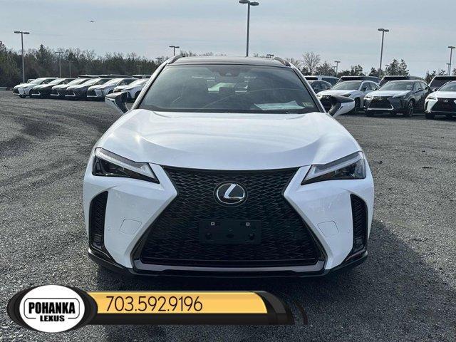 new 2024 Lexus UX 250h car