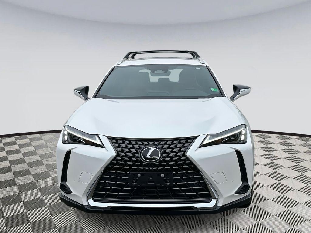 new 2025 Lexus UX 300h car