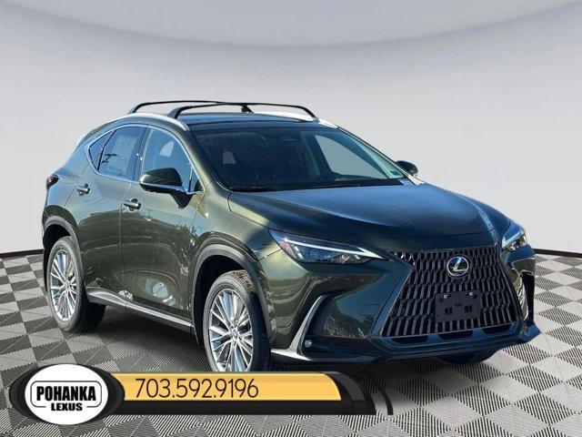 new 2025 Lexus NX 350 car