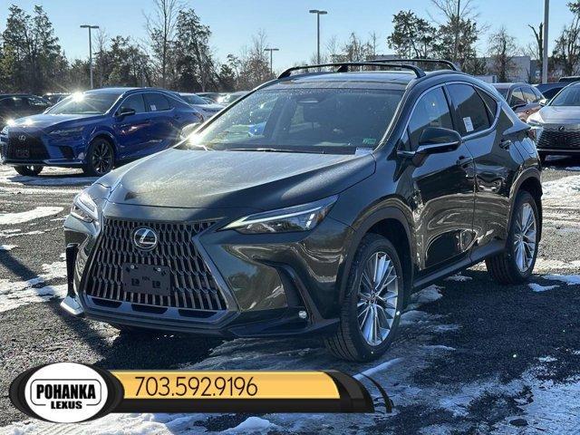 new 2025 Lexus NX 350 car