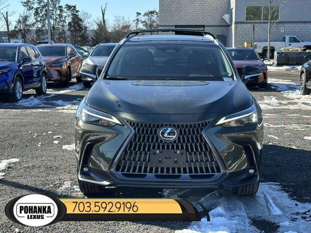 new 2025 Lexus NX 350 car