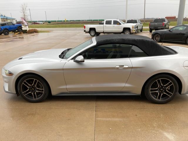 used 2019 Ford Mustang car, priced at $23,776