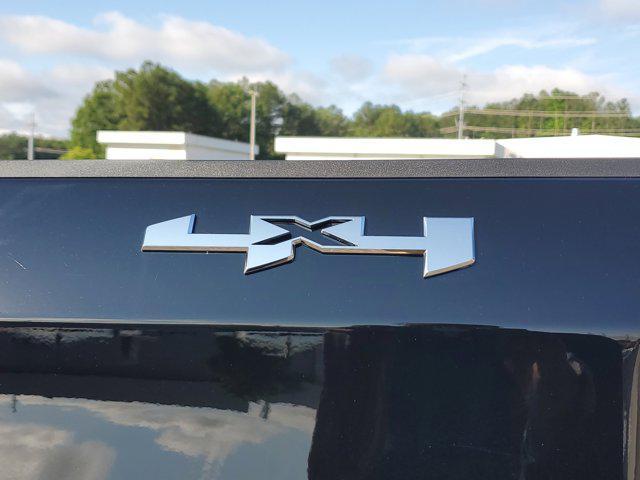 new 2025 GMC Sierra 1500 car