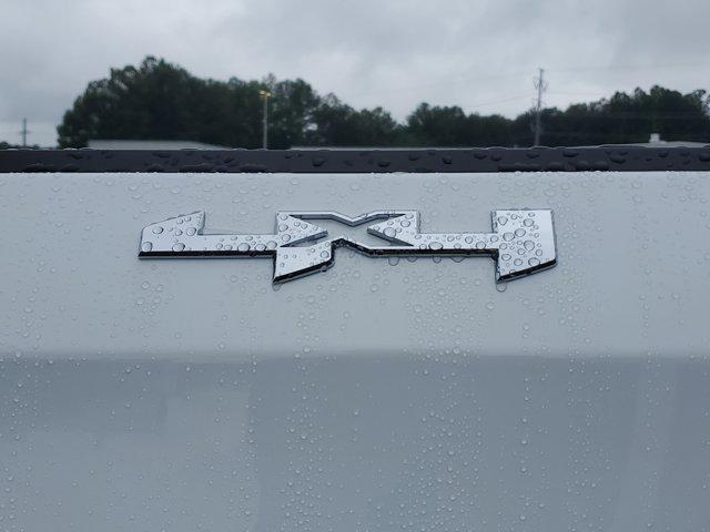 new 2025 GMC Sierra 1500 car