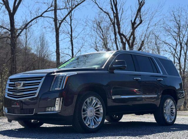 used 2016 Cadillac Escalade car, priced at $28,795