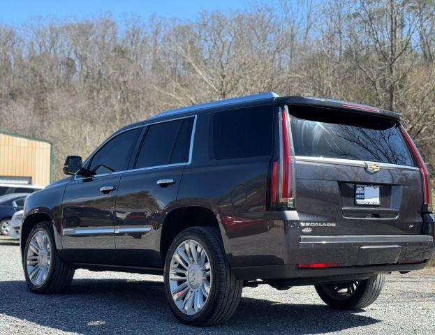 used 2016 Cadillac Escalade car, priced at $28,795