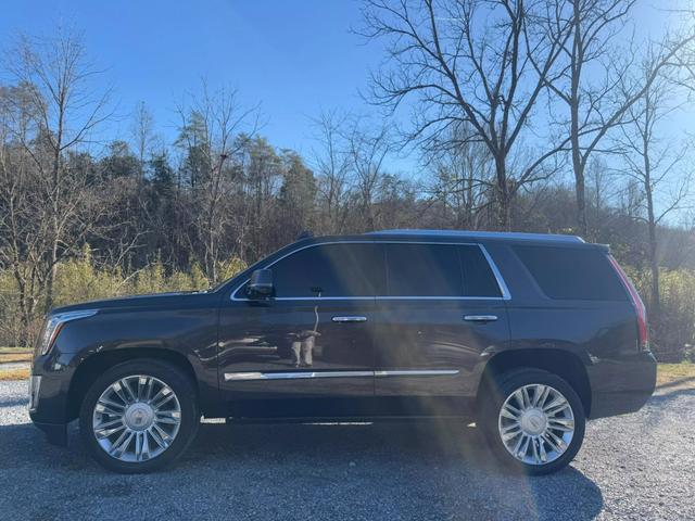 used 2016 Cadillac Escalade car, priced at $29,950