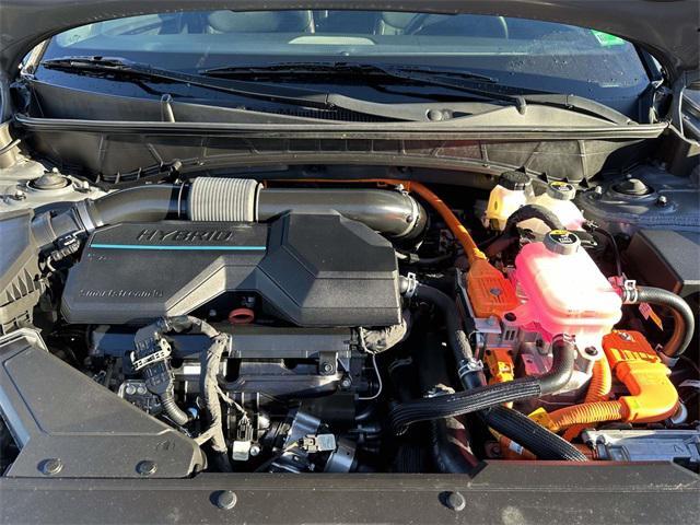 used 2024 Hyundai TUCSON Hybrid car, priced at $28,200