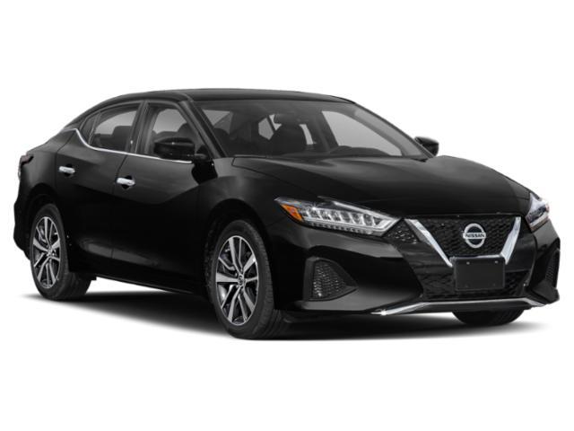 used 2019 Nissan Maxima car, priced at $18,900