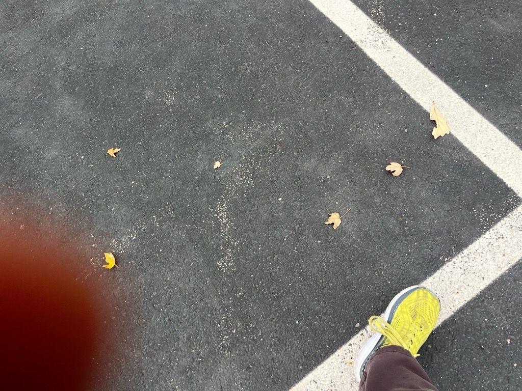 new 2026 Ram 1500 car, priced at $56,300