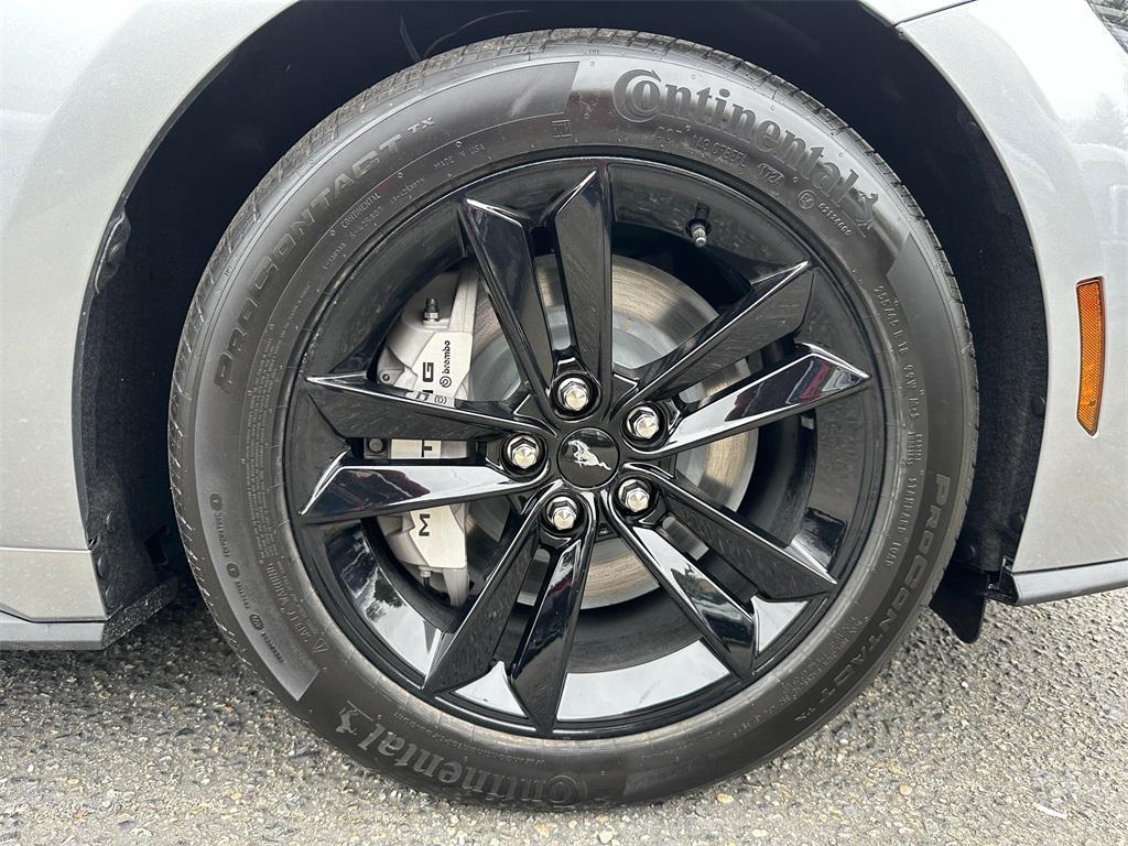 new 2024 Ford Mustang car, priced at $47,291