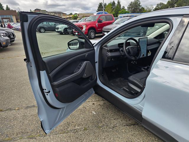new 2025 Ford Mustang Mach-E car, priced at $47,865