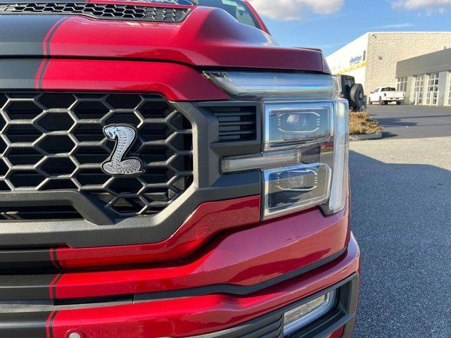 new 2024 Ford F-150 car