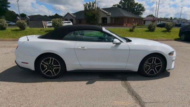 used 2022 Ford Mustang car, priced at $25,244