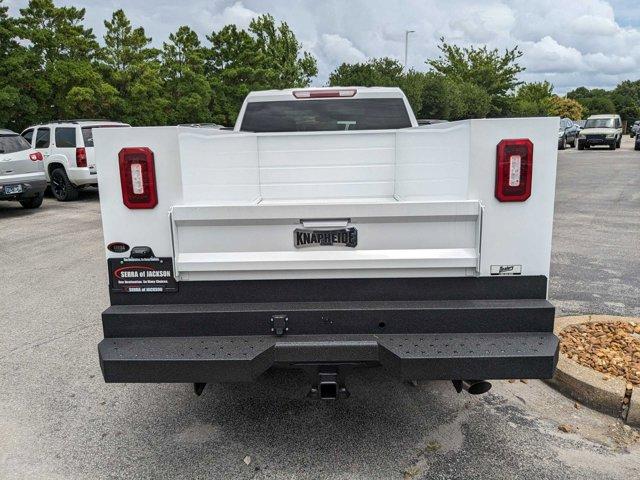 new 2024 Chevrolet Silverado 2500 car