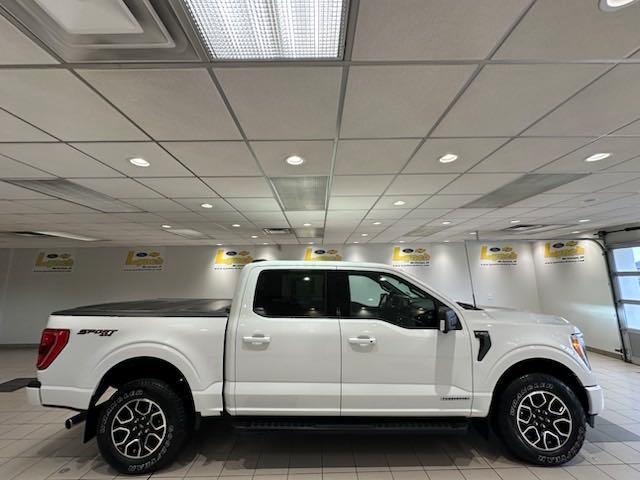 used 2021 Ford F-150 car, priced at $41,000