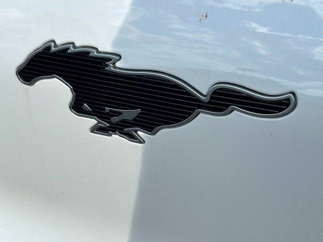 new 2024 Ford Mustang Mach-E car, priced at $44,235