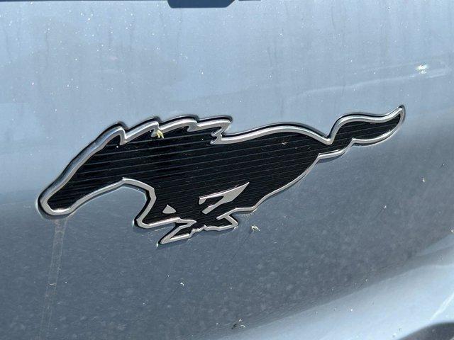 new 2024 Ford Mustang Mach-E car, priced at $53,485