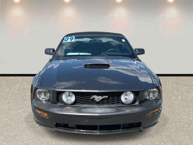 used 2009 Ford Mustang car, priced at $14,201