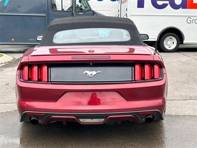 used 2017 Ford Mustang car, priced at $19,308