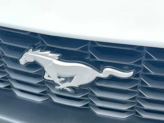 used 2024 Ford Mustang car, priced at $31,033
