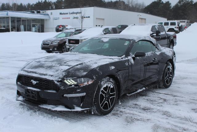 used 2022 Ford Mustang car, priced at $24,990