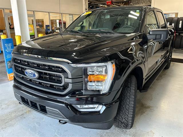 used 2023 Ford F-150 car, priced at $41,965