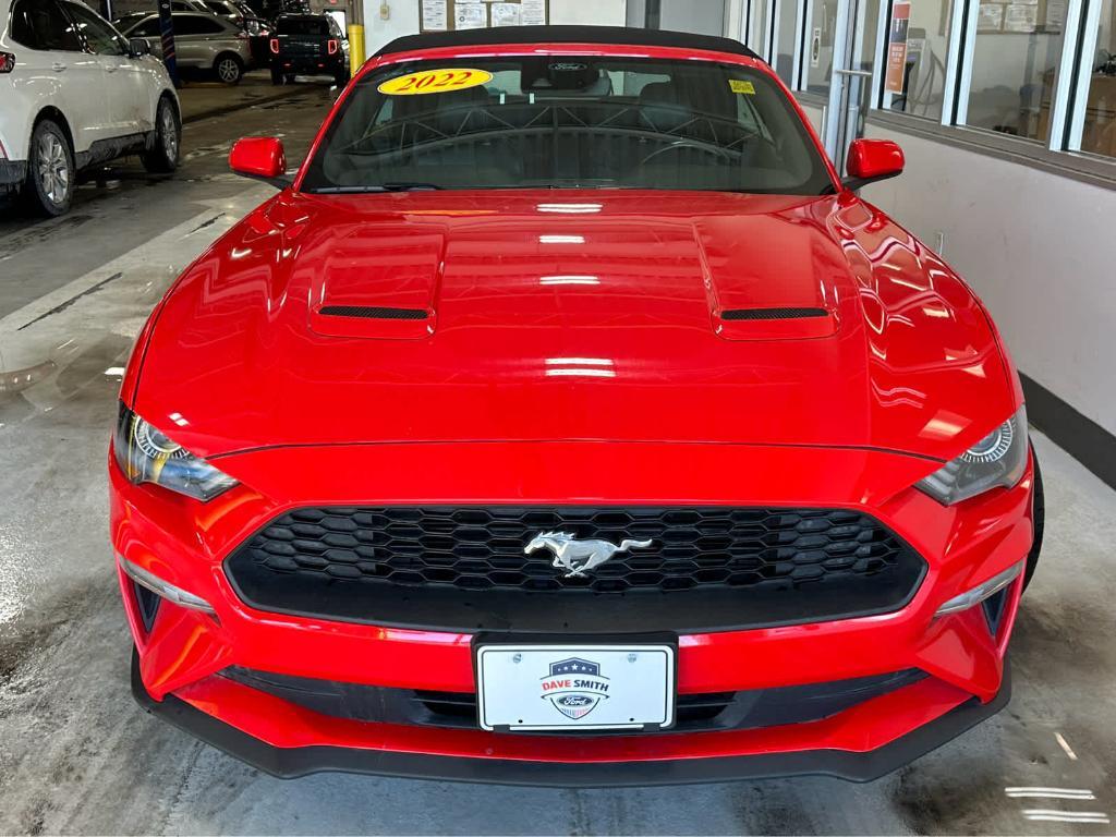 used 2022 Ford Mustang car, priced at $24,553