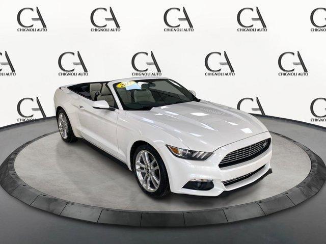 used 2017 Ford Mustang car, priced at $21,000