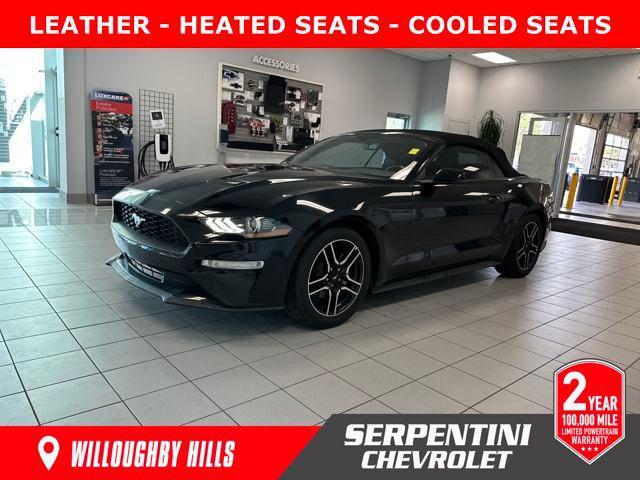 used 2019 Ford Mustang car, priced at $19,561