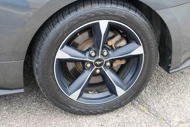 used 2019 Ford Mustang car, priced at $23,888