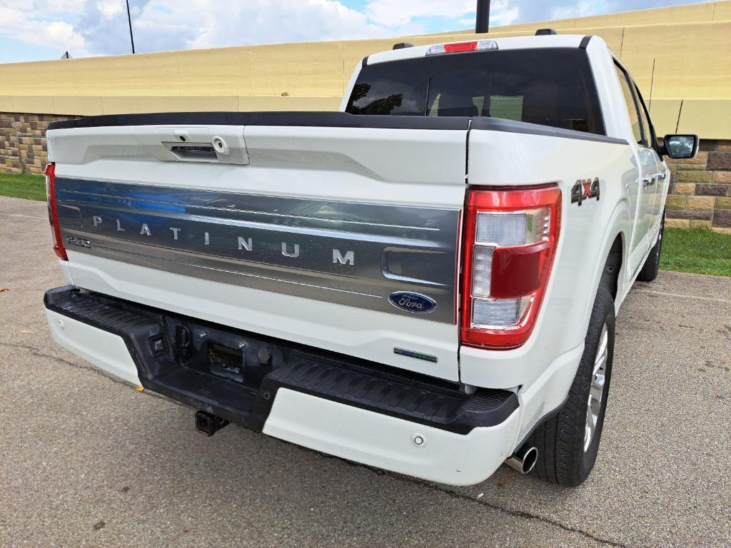 used 2023 Ford F-150 car, priced at $51,208