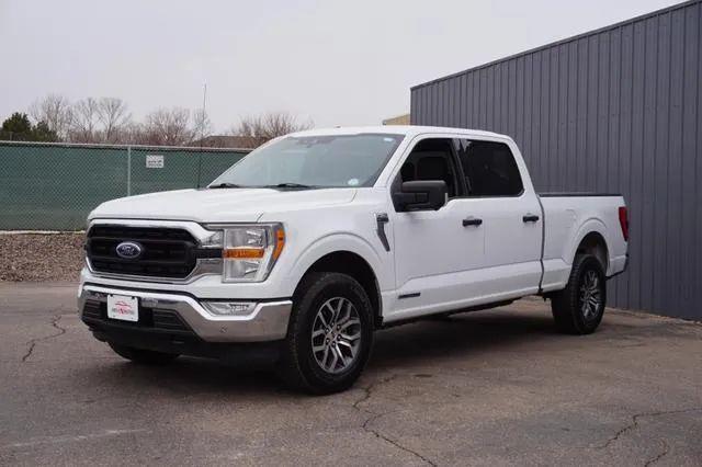 used 2021 Ford F-150 car