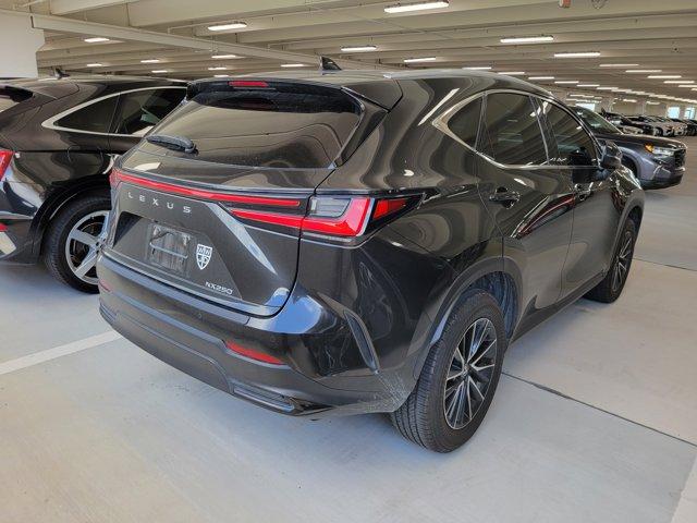 used 2024 Lexus NX 250 car, priced at $36,780
