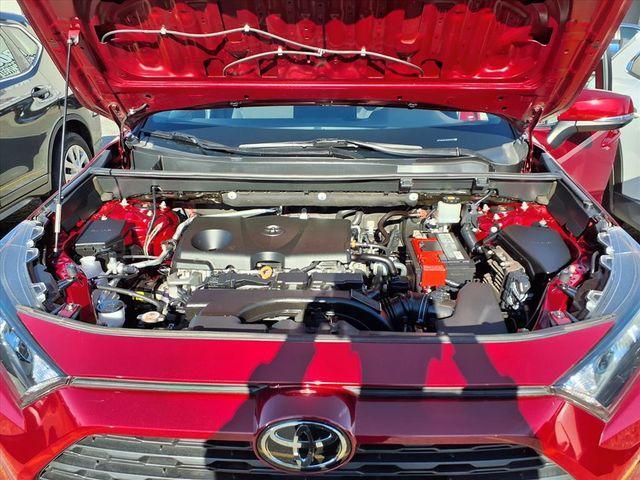 used 2019 Toyota RAV4 car, priced at $20,000