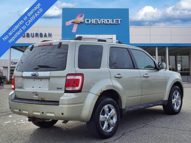 used 2011 Ford Escape car