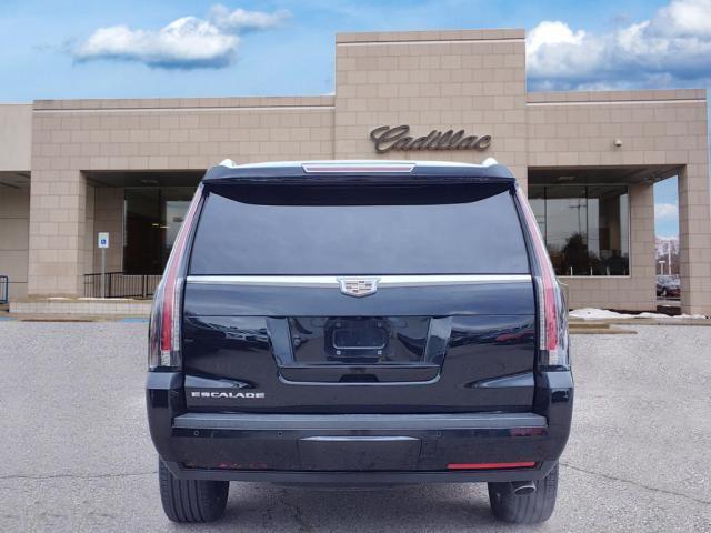 used 2016 Cadillac Escalade car, priced at $21,995