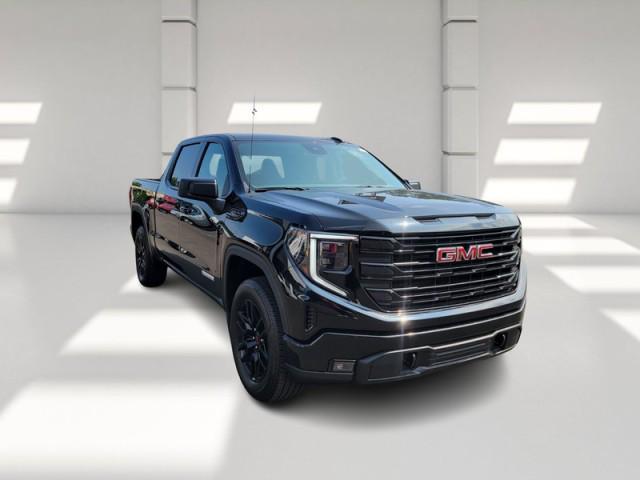 new 2024 GMC Sierra 1500 car, priced at $53,560