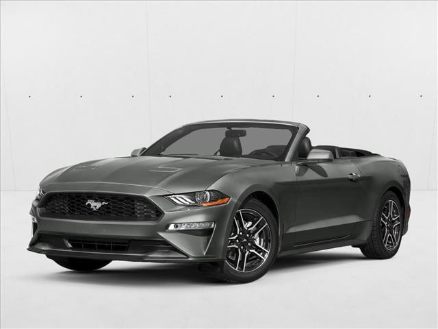 used 2019 Ford Mustang car, priced at $19,591