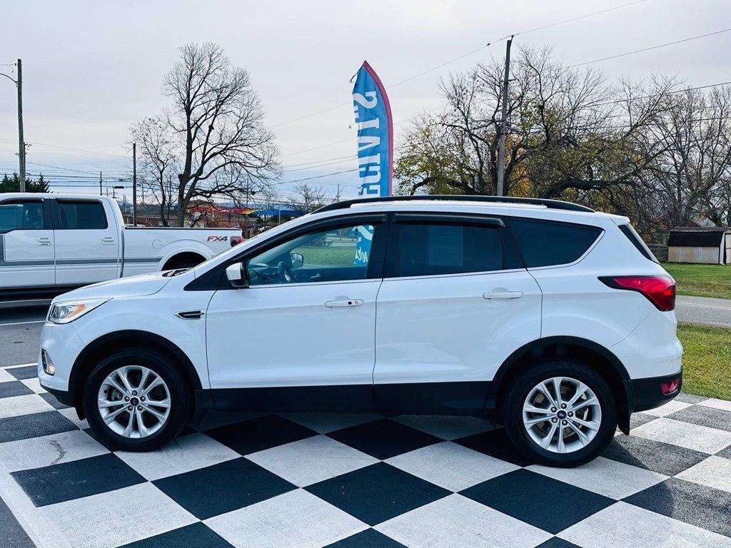 used 2019 Ford Escape car, priced at $18,885