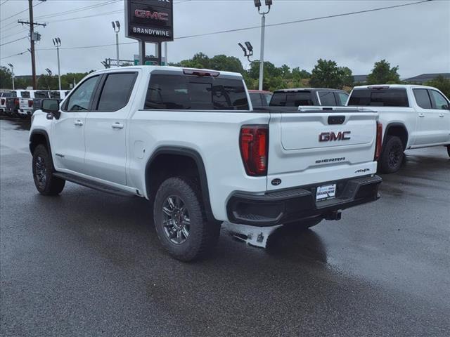 new 2024 GMC Sierra 1500 car