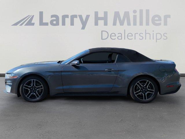 used 2019 Ford Mustang car, priced at $19,900