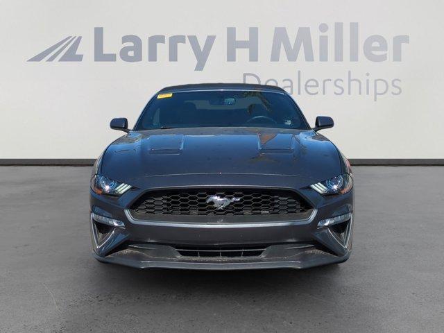 used 2019 Ford Mustang car, priced at $19,900
