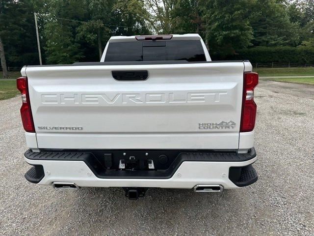 new 2025 Chevrolet Silverado 1500 car, priced at $66,789